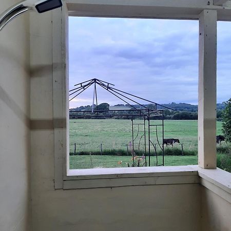 Off Grid Rosie Sheperd Hut And Summerhouse Plus 1 Acre At Tanyrallt Διαμέρισμα Llanybyther Εξωτερικό φωτογραφία